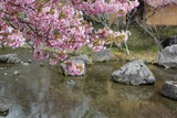 川☆