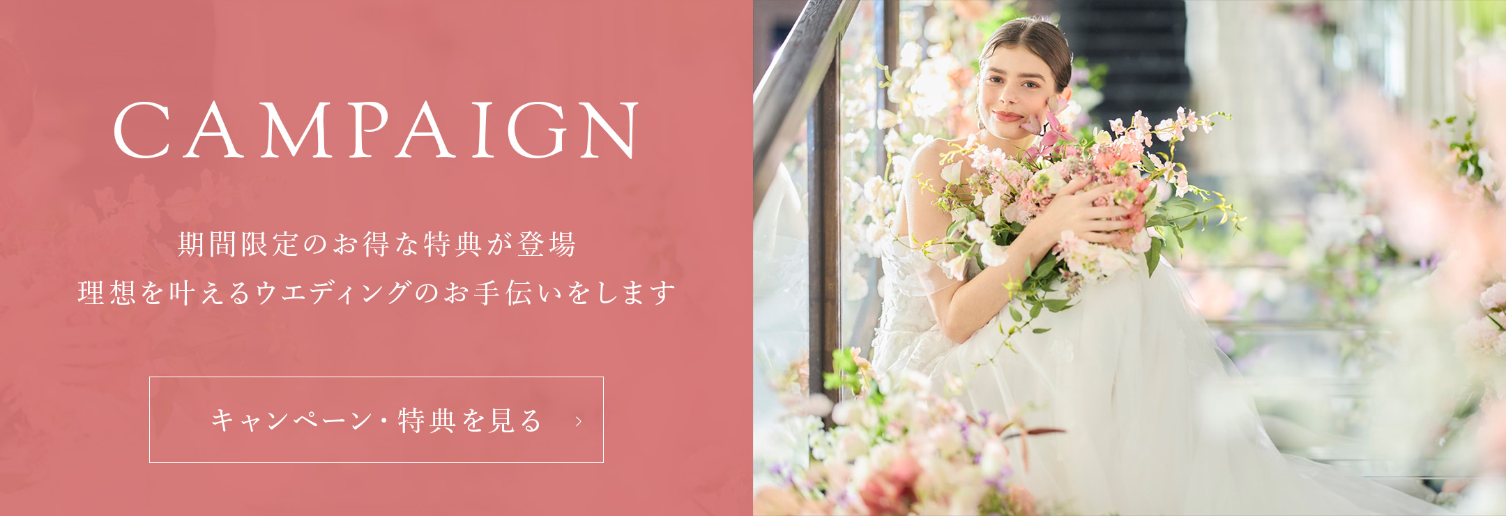 期間限定のお得な特典が登場
