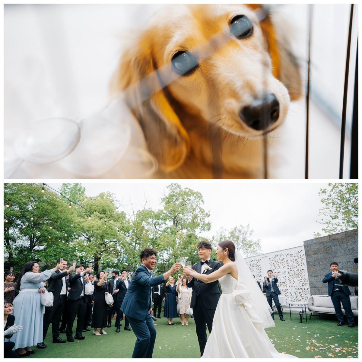 Garden Ceremony